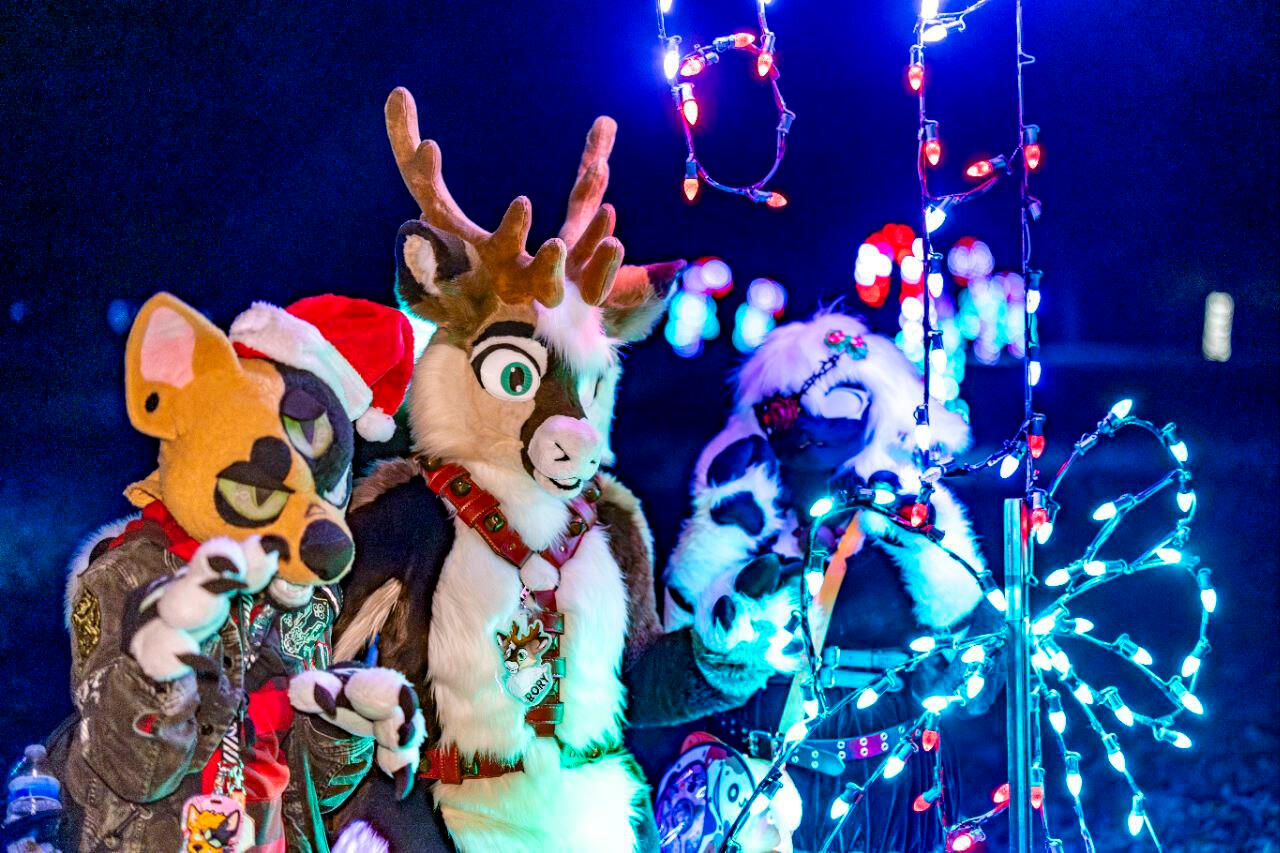 Christmas lights photo. Taken at Lights on the Farm. Christmas lights photo. Taken at Lights on the Farm.