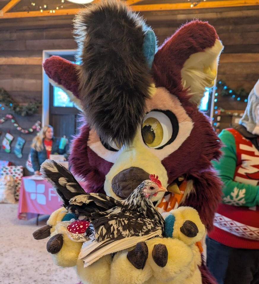 Holding a chicken at Lights on the Farm.