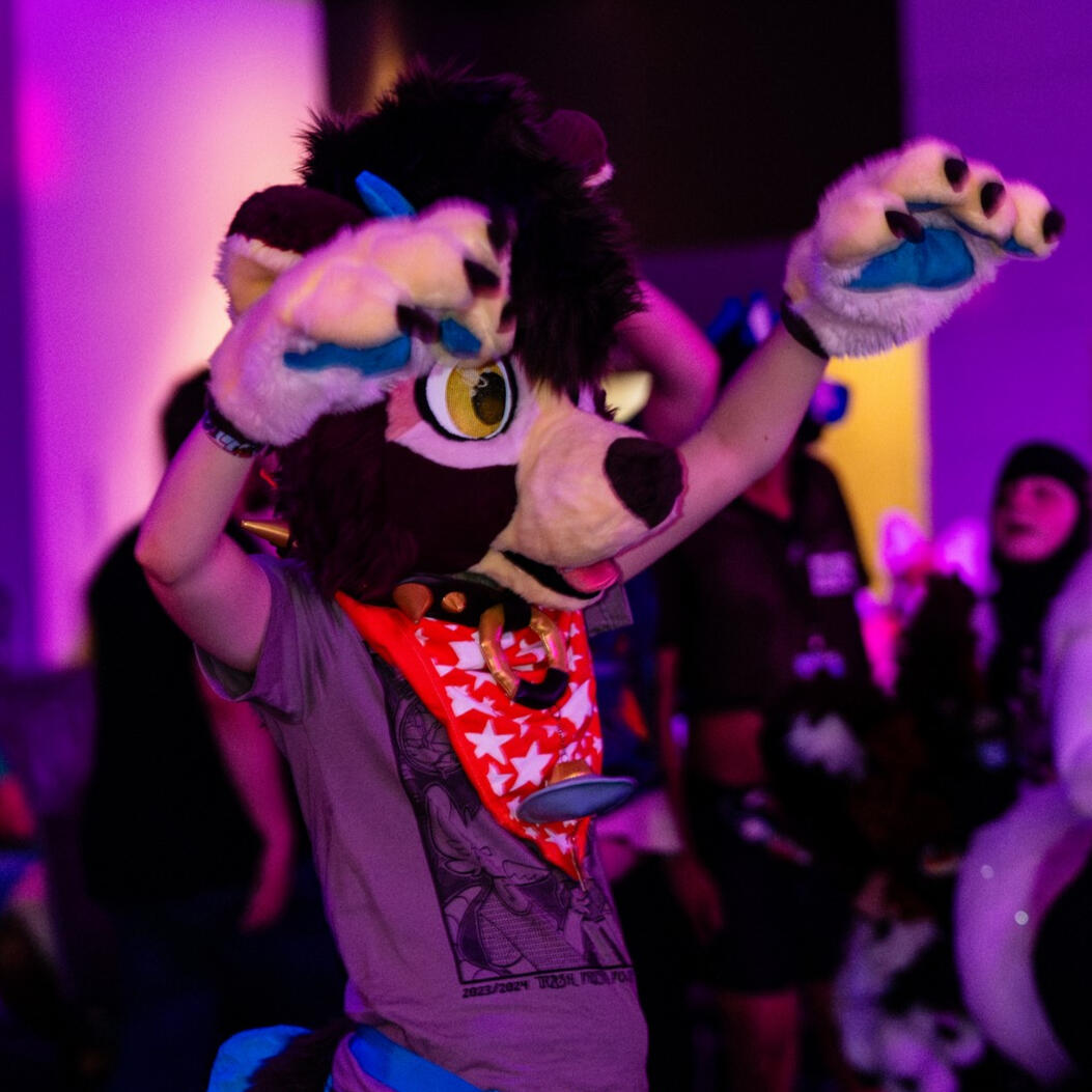 Hoku's fursuit photo.